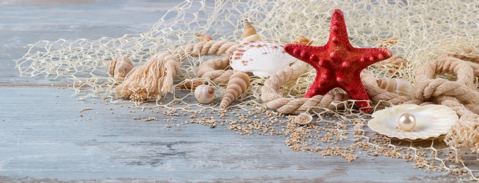 Starfish, Shells, and Pearl on a Net