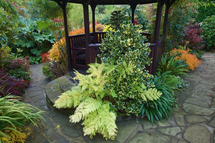Gazebo in a garden with ferns and shrubs in England