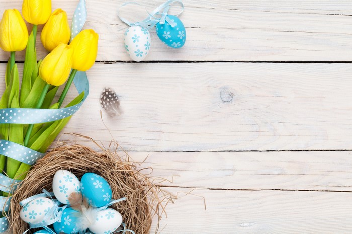 Easter Tulips, Eggs, and Nest on Wood