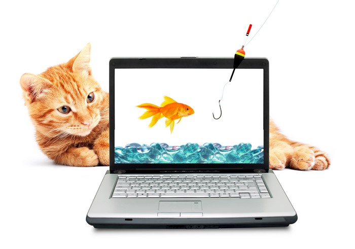 Ginger cat and laptop with fishing game