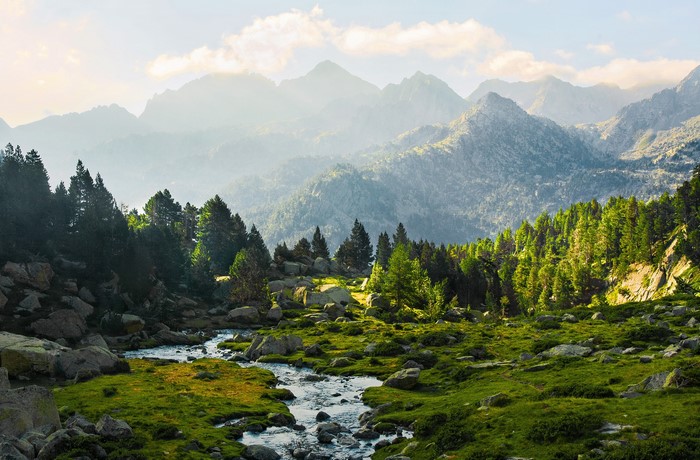 Mountain stream flowing through a rocky, forested landscape in Lleida, Catalonia, Spain