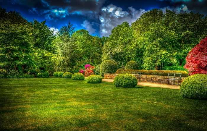 Manicured garden with green lawn and trees