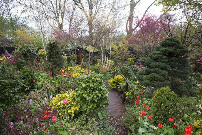 Walsall Garden in England with Tulips and Bridge