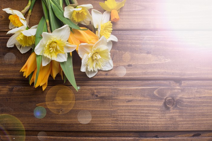 Daffodils and tulips on wood planks