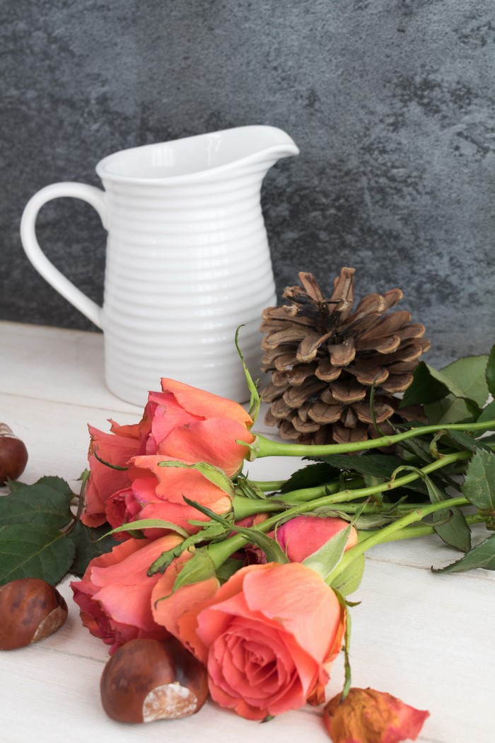 Pink roses with a white jug and pine cone