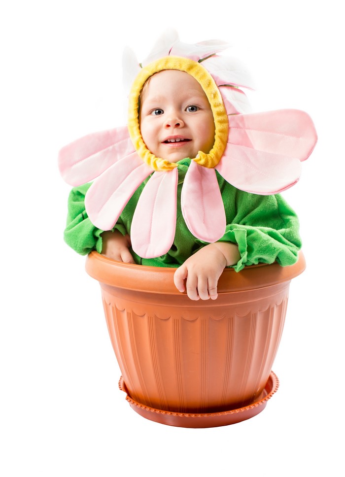 Baby in a Flower Costume in a Flowerpot