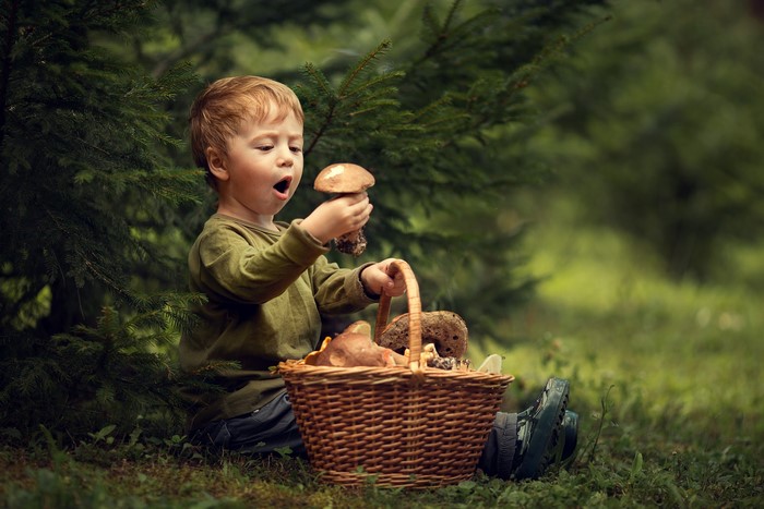 Boy holding a mushroom with a basket of mushrooms