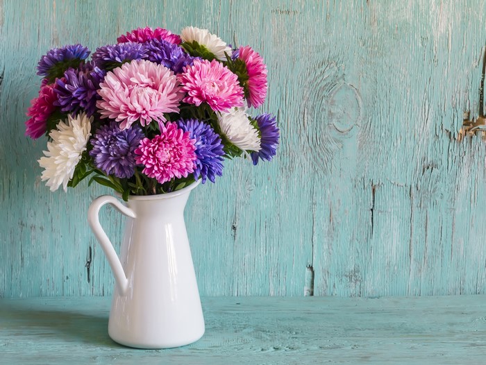 Bouquet of Asters in a White Jug on Wood