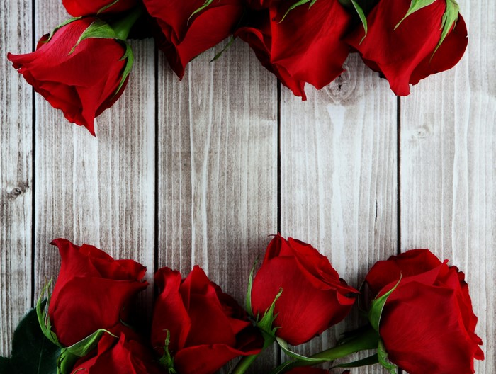 Red Roses on Wood Planks
