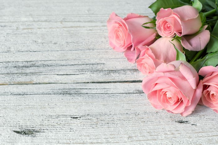 Pink Roses on White Wooden Surface