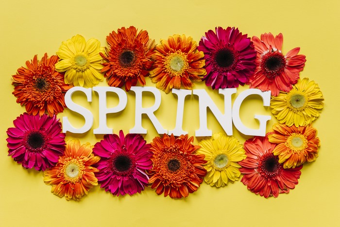 Spring flowers arranged around the word SPRING