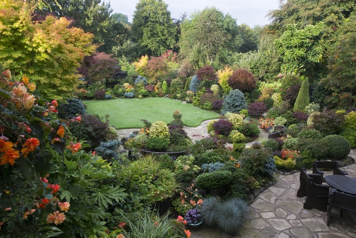 Walsall Garden England shrubs lawn design