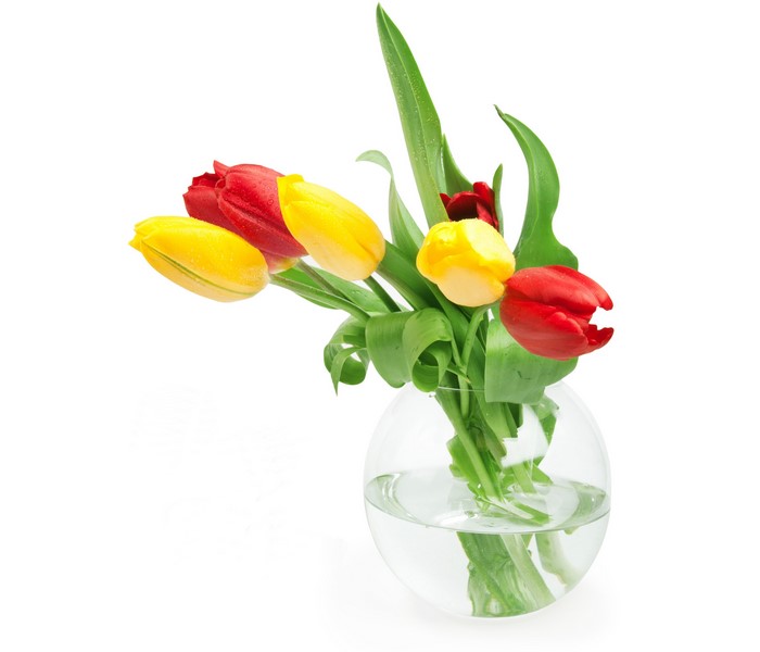 Red and yellow tulips in a glass vase