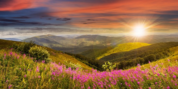 4K Mountain Scenery with Sunset and Wildflowers