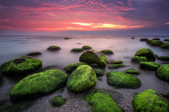 Mossy rocks on a Bulgarian coast at sunset