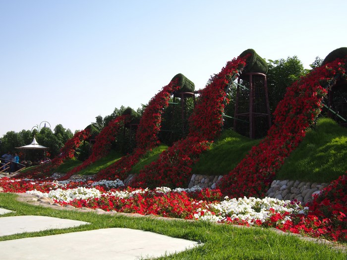 Miracle Garden Dubai flower design