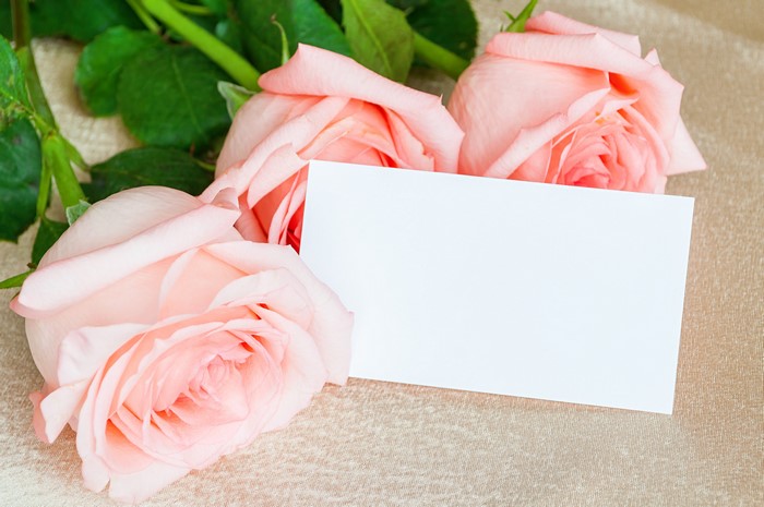 Pink roses with a blank card