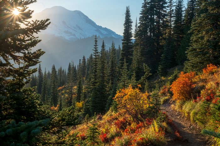 Mount Rainier National Park in Autumn
