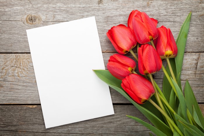 Red Tulips and Blank Card on Wood