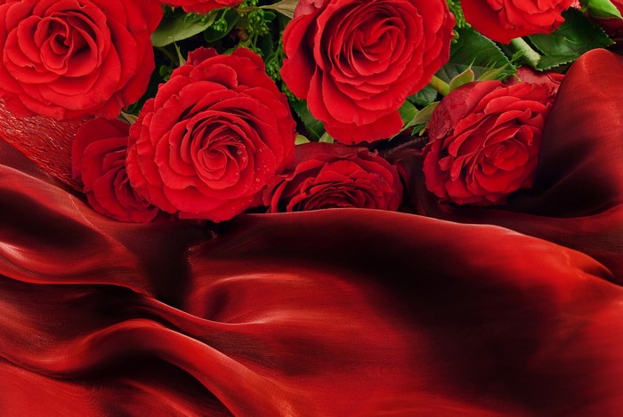 Red Roses with Red Silk