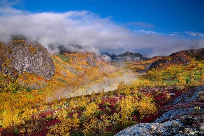 Autumn mountains with fog in Quebec, Canada