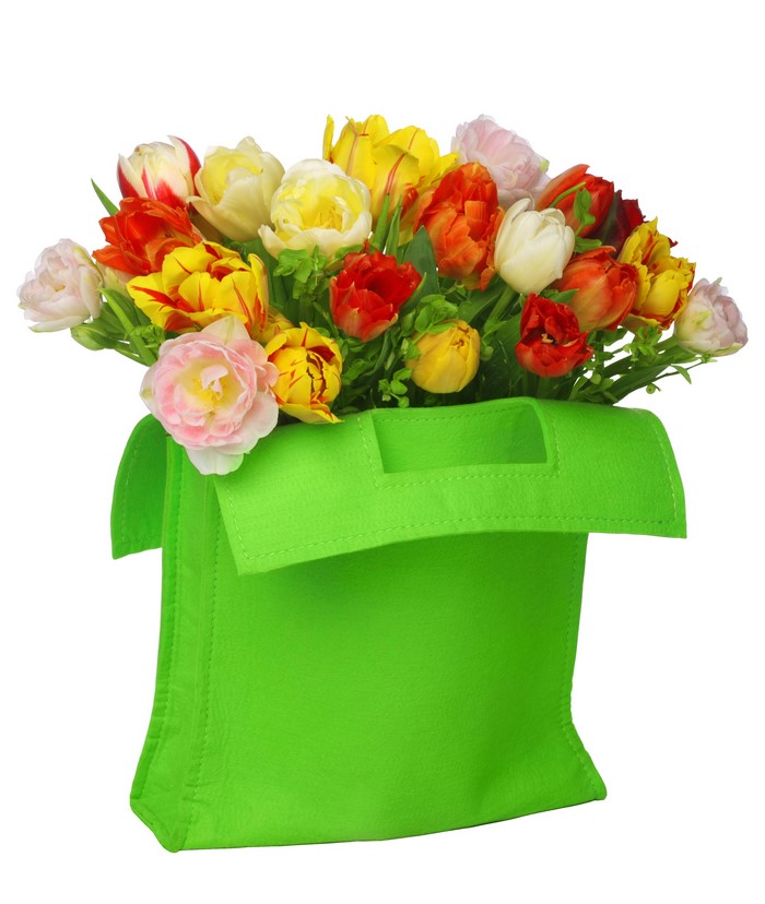 Bouquet of colorful tulips in a green bag