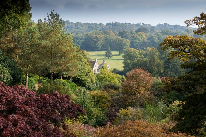 Scotney Castle park Kent, United Kingdom, Trees, Shrubs