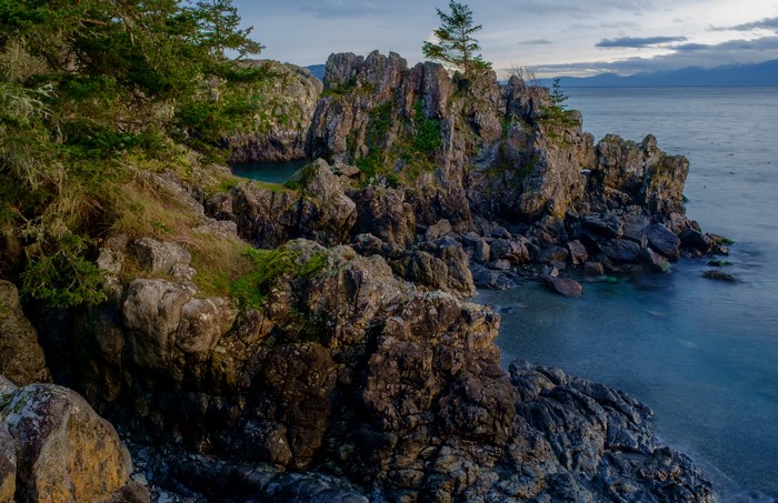 Rocky Coastline with Trees and Ocean at East Sooke Park