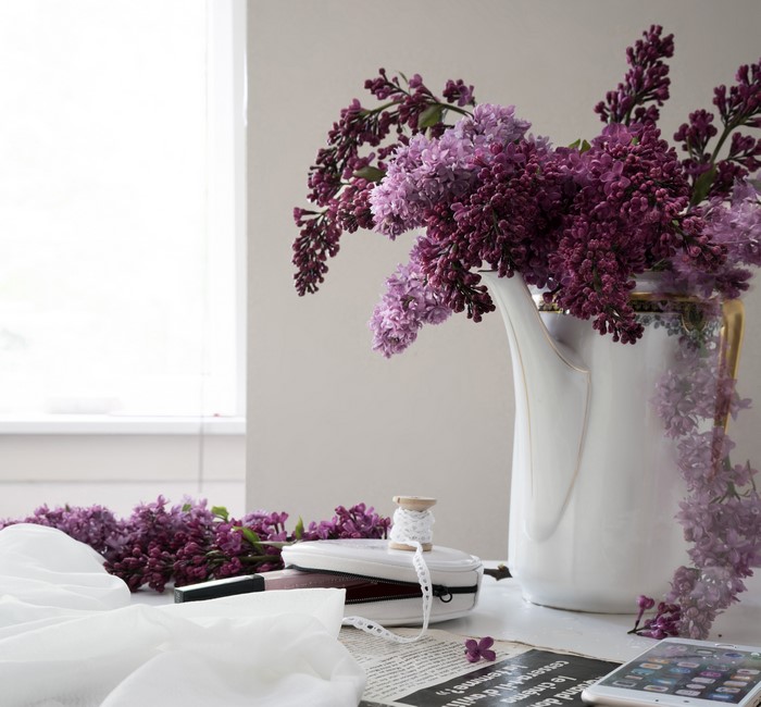 Lilac in a jug container