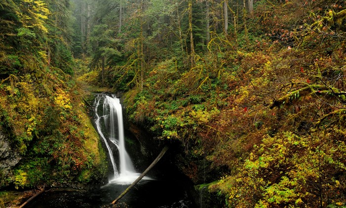 Waterfall in Autumn Forest, Oregon, USA