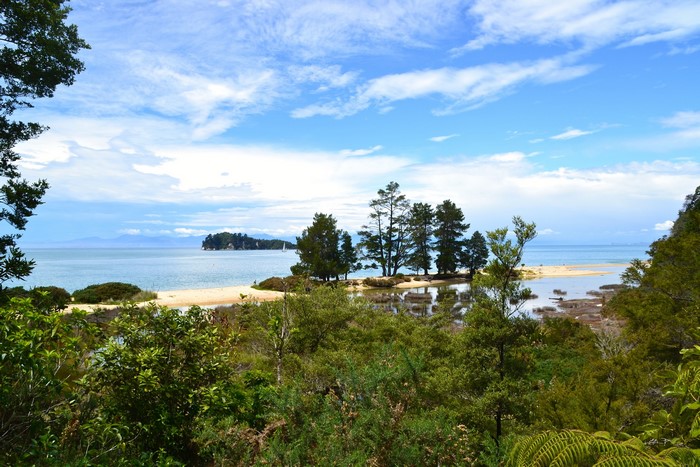 Tasman National Park Coastline with Trees and Water