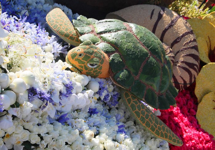 Turtle float decorated with flowers in Pasadena