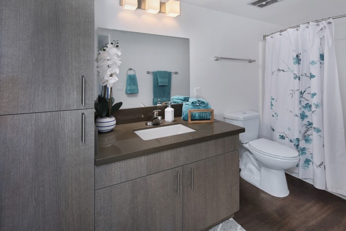 Modern Bathroom with Gray Cabinetry and Floral Shower Curtain