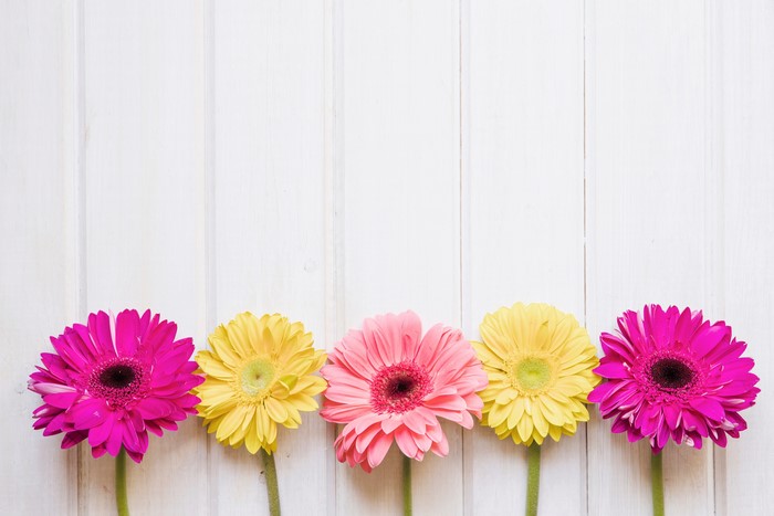 Gerberas on Wood Planks