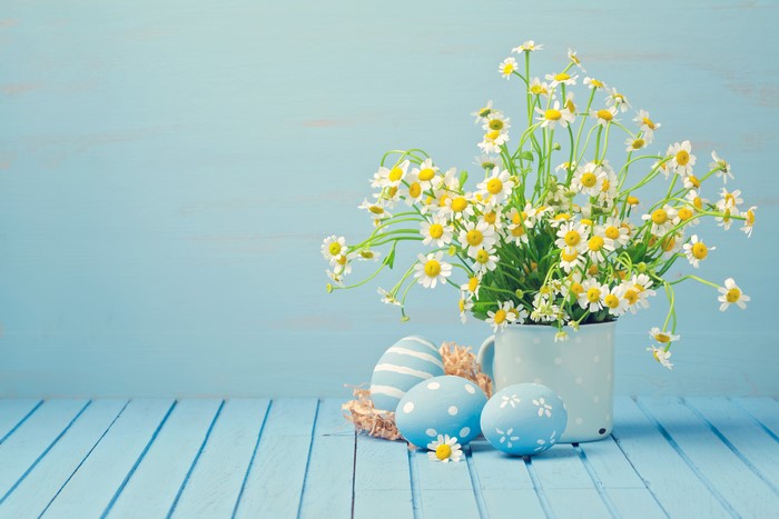 Easter eggs and camomiles on blue wooden planks