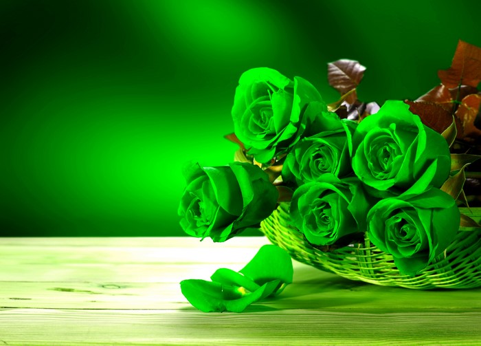 Green Roses in a Basket
