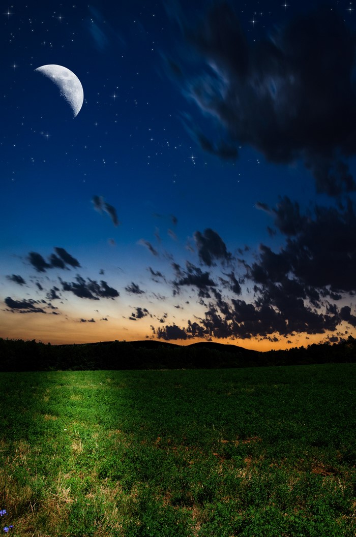 Crescent moon in the night sky over a field