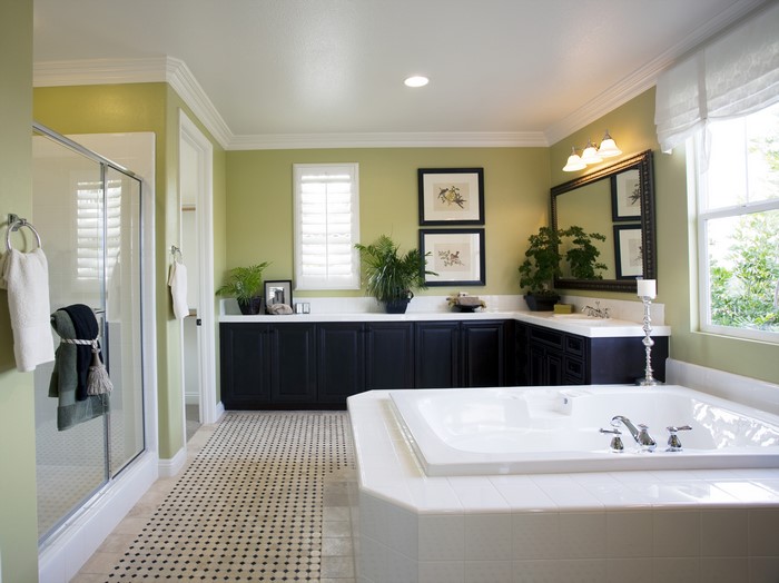 Bathroom Interior Design