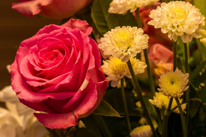 Pink rose and white chrysanthemums bouquet