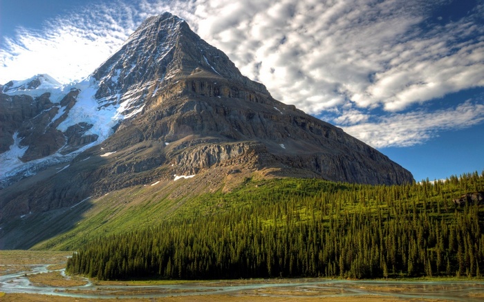 Mountain with glacier and forest