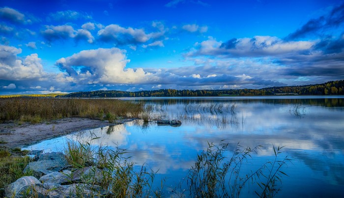 Lake and forest landscape with blue sky and clouds