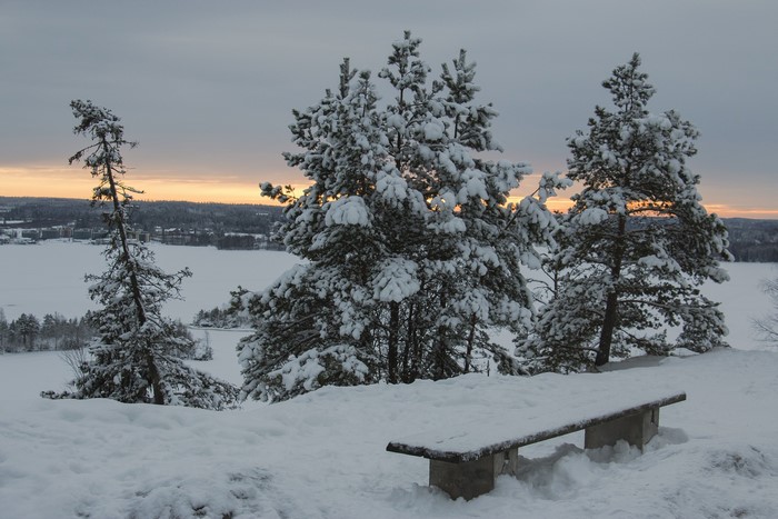 Snow-covered trees and bench overlooking a frozen lake at sunset in Tampere, Finland