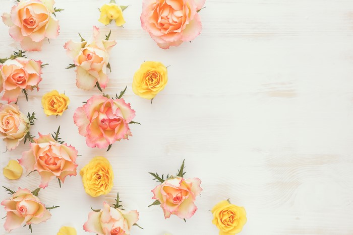 Roses 4K