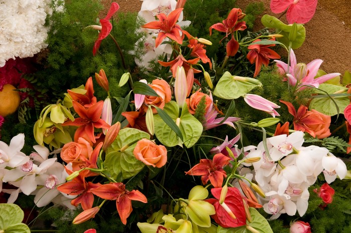 Orchid, Lilies, and Anthurium floral arrangement