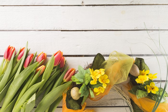 Easter Tulips and Decorations on Wood Planks