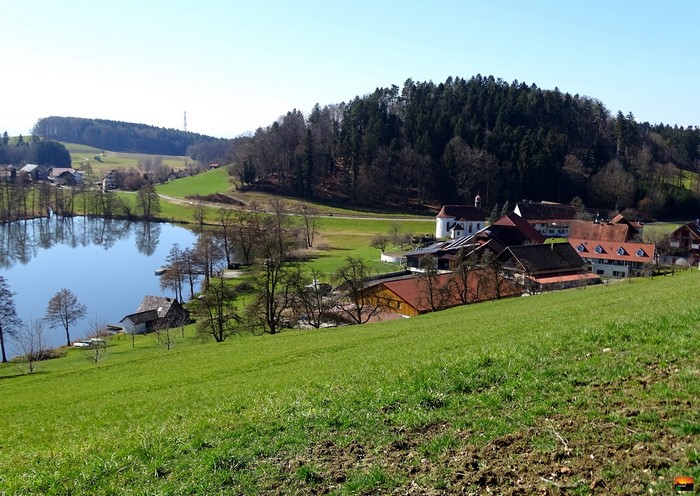 Village with pond and forest in Germany