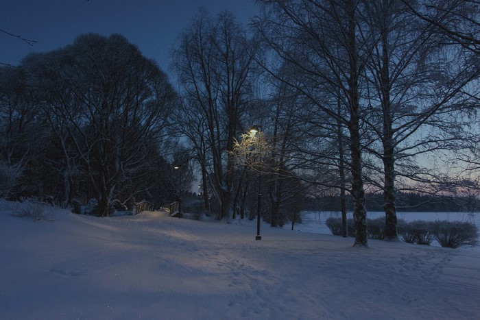 Winter evening with street lights in Tampere, Finland
