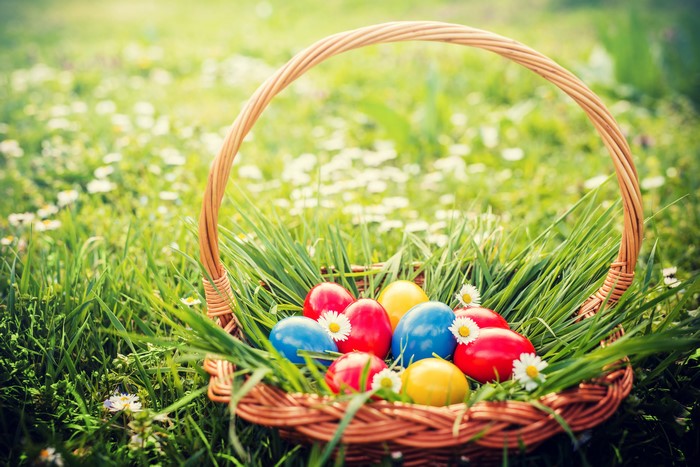 Easter eggs in a wicker basket with camomiles