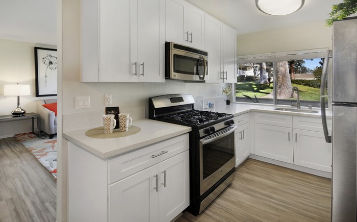Modern Kitchen with Stainless Steel Appliances