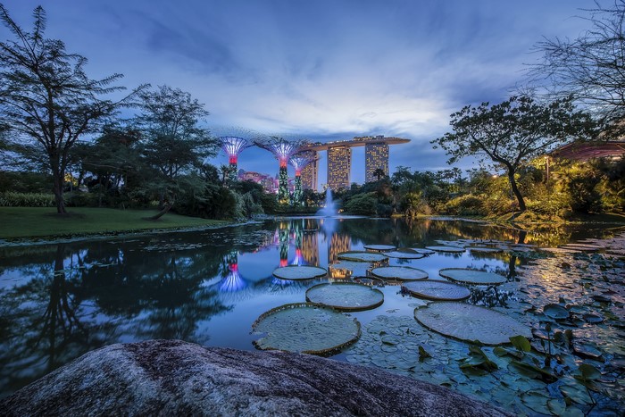 Gardens by the Bay Singapore at Dusk with Lily Pads